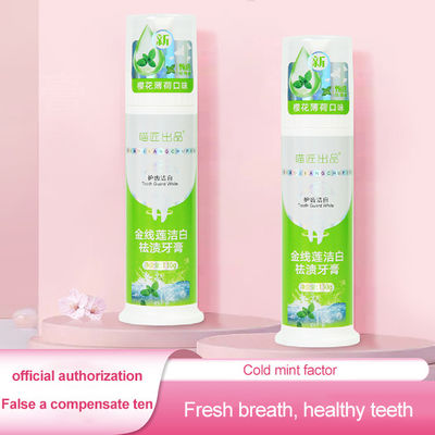 Variety of Flavors Teeth Care Pump Press Foam Toothpaste for Adult Teeth Whitening
